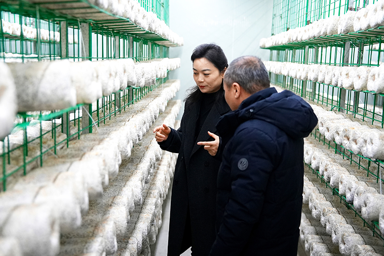 坎北街道呂灘村食用菌生產基地