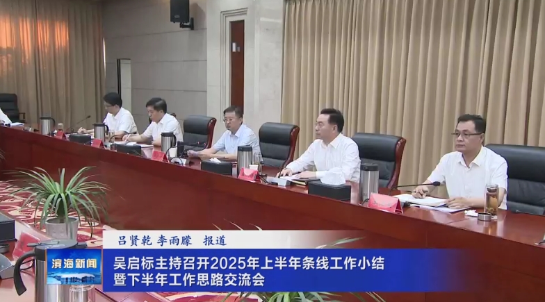 吳啟標主持召開2025年上半年條線工作小結(jié)暨下