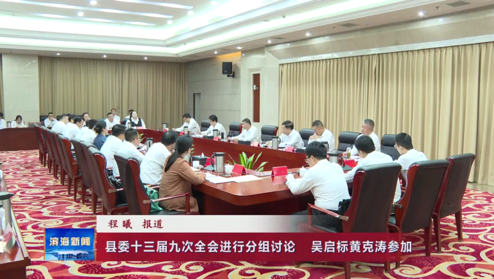 縣委十三屆九次全會進(jìn)行分組討論?吳啟標(biāo)黃克